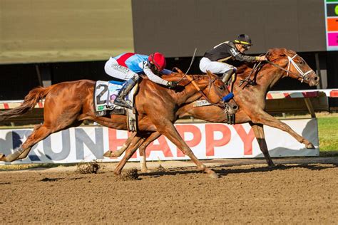 eclipse stakes|eclipse stakes 2022.